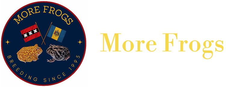 Partial view of a circular emblem with gold text on a dark background.