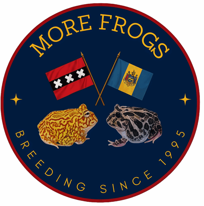 Logo with two frogs and crossed flags under 'More Frogs' text.